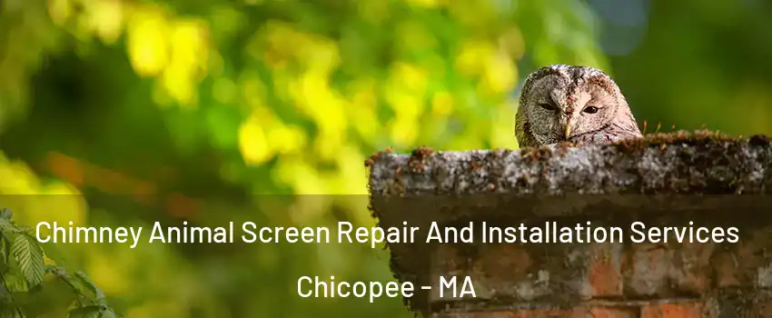  Chimney Animal Screen Repair And Installation Services Chicopee - MA