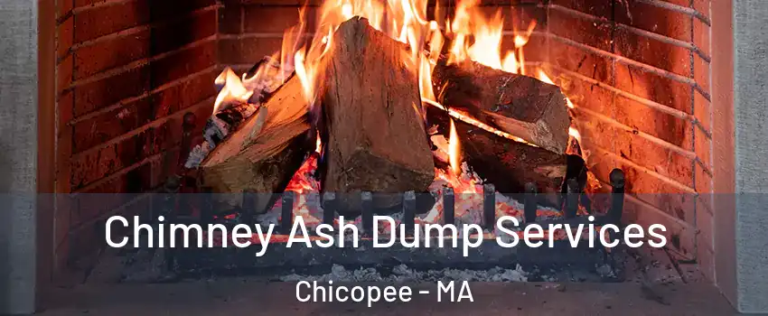  Chimney Ash Dump Services Chicopee - MA