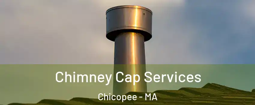  Chimney Cap Services Chicopee - MA