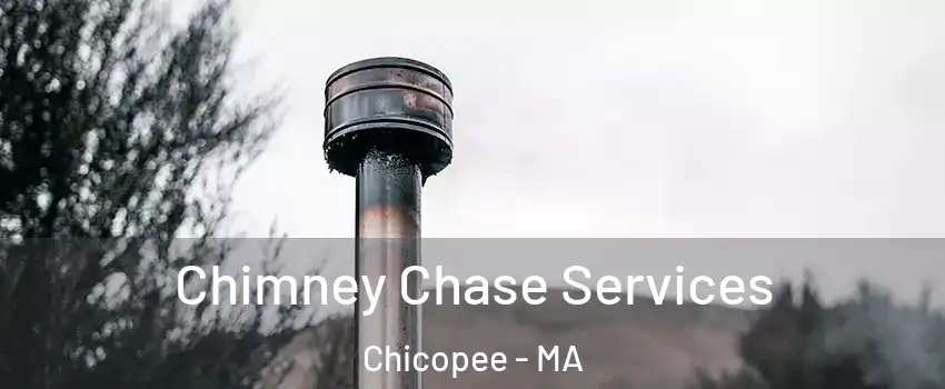  Chimney Chase Services Chicopee - MA