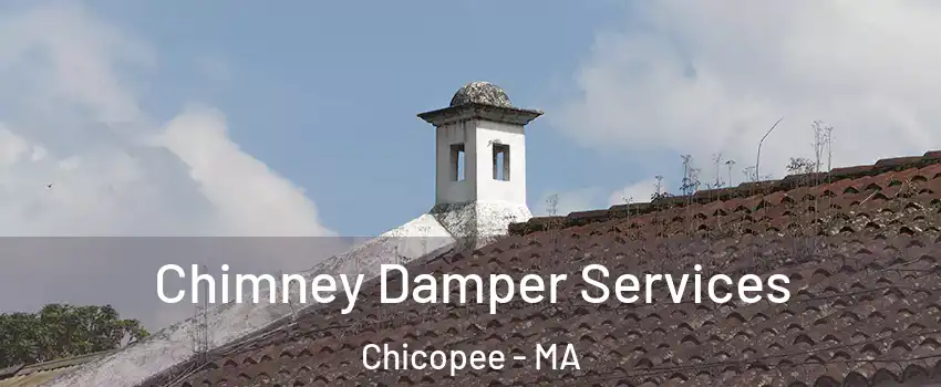  Chimney Damper Services Chicopee - MA