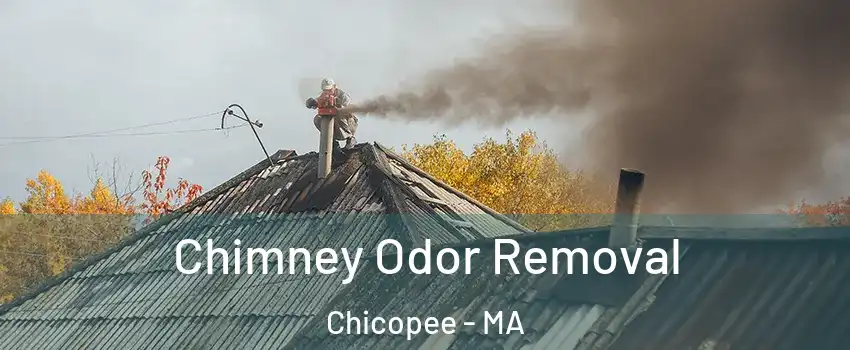  Chimney Odor Removal Chicopee - MA