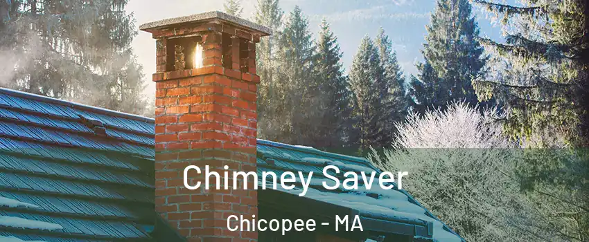  Chimney Saver Chicopee - MA