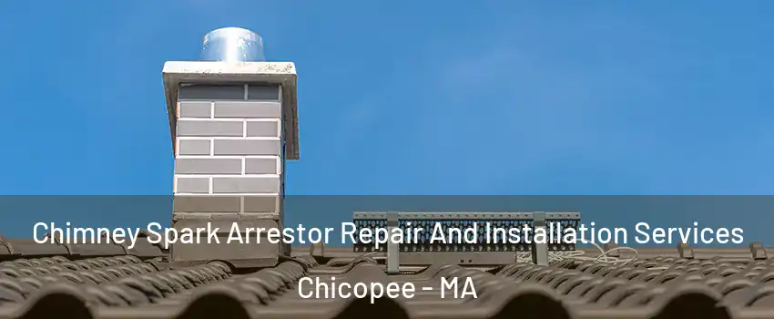  Chimney Spark Arrestor Repair And Installation Services Chicopee - MA