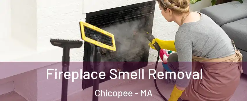  Fireplace Smell Removal Chicopee - MA