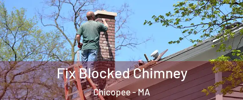  Fix Blocked Chimney Chicopee - MA