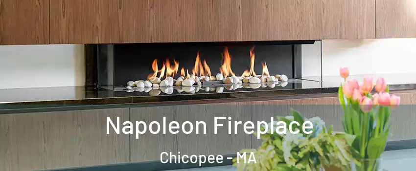  Napoleon Fireplace Chicopee - MA